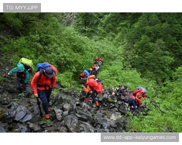 世界登山青年导师长期追踪研究第28期数据摘要发布，登山专家